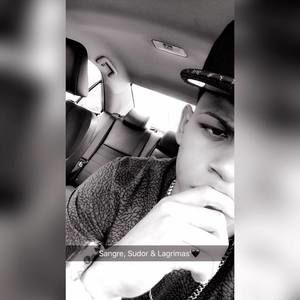 Meet your Posher, Engel